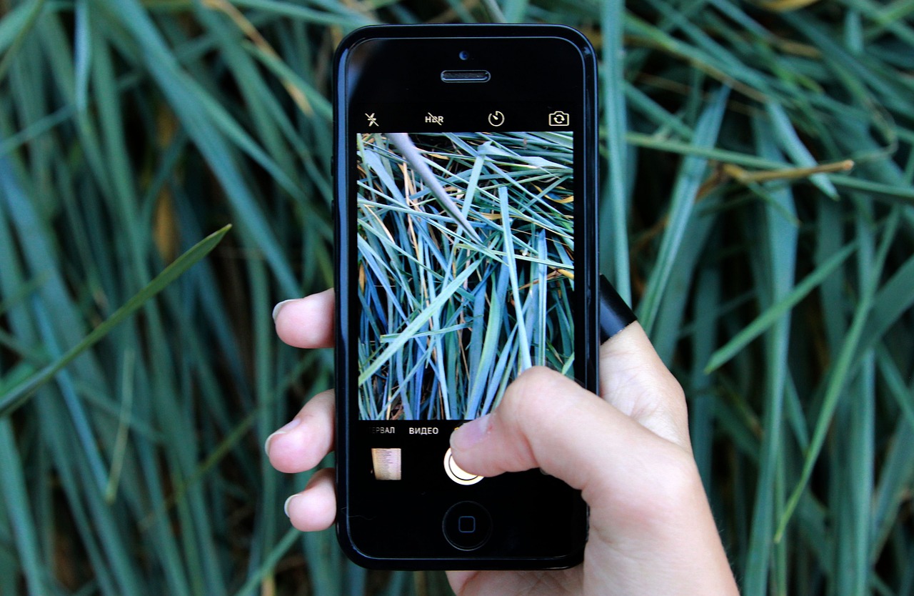 Application Gratuite pour Reconnaître les Plantes