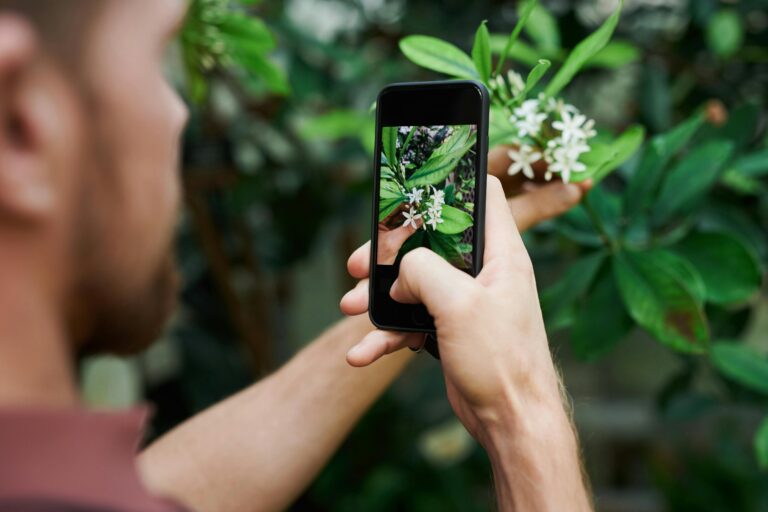 Meilleure Application Gratuite pour Reconnaître les Plantes : Explorez le Monde Végétal avec Votre Smartphone