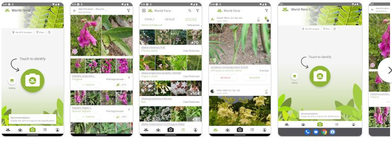 Application Gratuite pour Reconnaître les Plantes